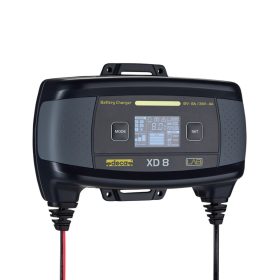 CARICABATTERIE XD 8 DECA